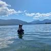 Profile Picture of Hal Anderson (@@halanderson92) on Tiktok