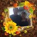 Profile Picture of Paula Parsons (@parsons1950) on Pinterest