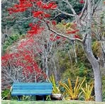 Profile Picture of Ricardo Curvello (@ricardo.curvello.37) on Facebook