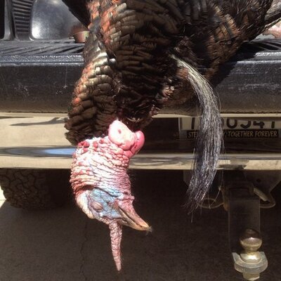 Profile Picture of Geoff Taylor (@Gtaylorraider) on Twitter