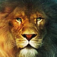 Profile Picture of Aslan Ozcakir (@aslan-ozcakir-2) on Quora