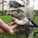 Profile Picture of Bobby staley (@xxbstaleyxx) on Instagram