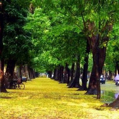 Profile Picture of Nguyen Ngoc Van (@nguyenngocvan) on Twitter