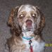 Profile Picture of Craig Keil (@craig.keil.31) on Facebook