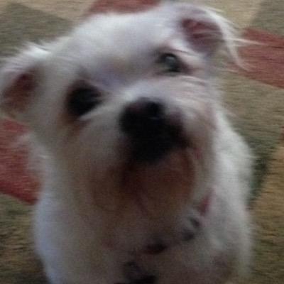 Profile Picture of James_Lastinger (@jrlastinger54) on Twitter