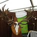 Profile Picture of Bert Dilling (@bertdilling) on Pinterest