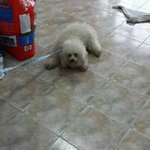 Guillermo Isidro Sarmiento - Instagram Profile Picture of Guillermo Isidro Sarmiento (@guillermoisidro.sarmiento1) on Instagram