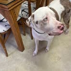 Profile Picture of Jacquelyn Baker (@Jacquelyn-Baker) on Facebook