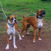 Profile Picture of Justin Dillard (@justindillard2583) on Youtube