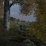 Profile Picture of Brian van Tongeren (@brian_van_tongeren) on Instagram