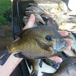 Profile Picture of jason mckinsey (@jason_mckinsey) on Instagram