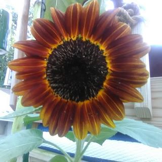 Profile Picture of Michael Ayers (@michael.ayers.520562) on Facebook