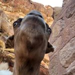Profile Picture of Kevin Mcsweeney (@kmcsweeney8602) on Instagram