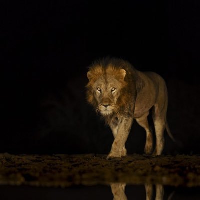 Profile Picture of John Franko (@JohnFra07022361) on Twitter