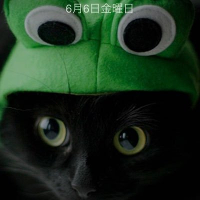 Profile Picture of Akio Watanabe (@akio_wat) on Twitter