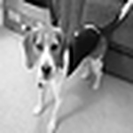 Profile Picture of hanson_grant (@hanson_grant) on Flickr