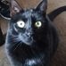 Profile Picture of Joan Corbitt (@joan.corbitt.3) on Facebook