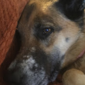 Profile Picture of Kinsee Morlan (@Kinsee) on Youtube