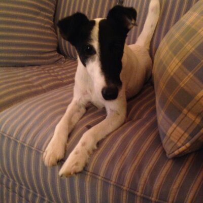 Profile Picture of James Keaveny (@JamesKeaveny) on Twitter