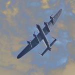 Profile Picture of James Mealor (@mealorjames) on Instagram