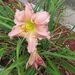 Profile Picture of Lisa Cloninger-Reiske (@mrsrazzle) on Pinterest