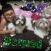 Profile Picture of Deborah Gonzalez (@deborah.gonzalez.547) on Facebook