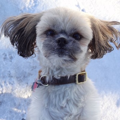 Profile Picture of Brian Bostick (@tlobrian) on Twitter