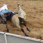 Profile Picture of Jose Leonardo Cebey Cadena (@joseleonardocebeycadena) on Instagram