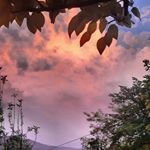 Stranger Melody - Instagram Profile Picture of Stranger Melody (@_nature_insight_) on Instagram