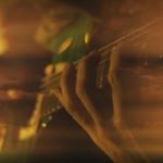 Frank Solari - Instagram Profile Picture of Frank Solari (@franksolari) on Instagram