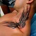 Profile Picture of Mariusz Swiderski (@mariuszswidersk) on Pinterest