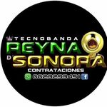 Profile Picture of david bracamonte (@tecnobanda_la_reyna_desonora) on Instagram