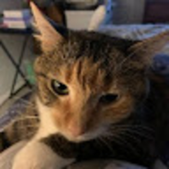 Profile Picture of Colin Maudhuit (@friskyatsea) on Poshmark