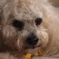 Profile Picture of Kerri Post (@kerri-post-2) on Quora