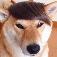 Profile Picture of Aarón Bautista Orta (@aarón-bautista-orta) on Quora