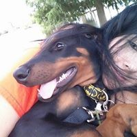 Profile Picture of Kim Conkle (@kim-conkle) on Quora