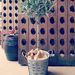 Profile Picture of Daniel Döllinger (@Doellingers) on Pinterest