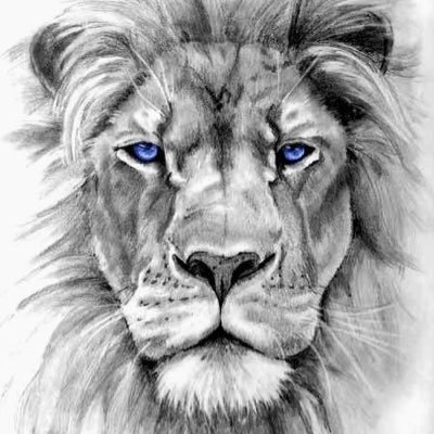 Profile Picture of Daniel GRANILLO (@DanieljGranillo) on Twitter