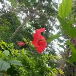 Profile Picture of Cheryl Moses (@Cheryl-Moses) on Facebook