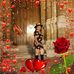 Profile Picture of Eloisa Vasquez (@eloisa.vasquez.944) on Facebook