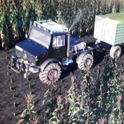 Profile Picture of Alexander Fleischer (@Alexand65191358) on Twitter