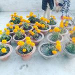 Profile Picture of Sherry Solomon (@sherrysolomon17) on Instagram