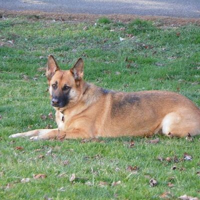 Profile Picture of Dave Starrett (@DaveStarrett1) on Twitter
