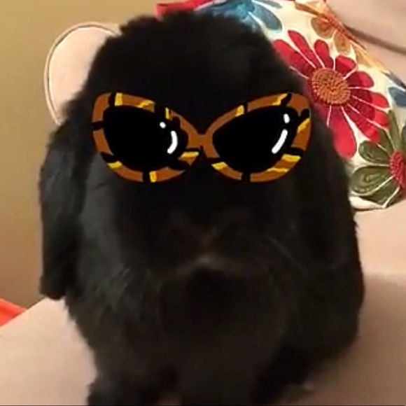 Profile Picture of Jen Otahal (@jlo5328) on Poshmark