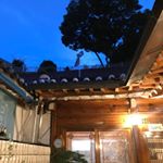 Profile Picture of 성북동 이안 (@sbd_ian) on Instagram