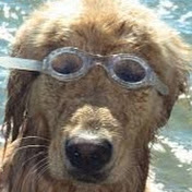 Profile Picture of Peter Castillo (@petercastillo2470) on Youtube