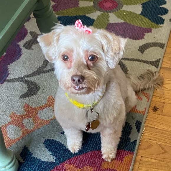 Profile Picture of Brad Bakken (@braddbakken) on Poshmark