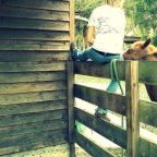 Profile Picture of Ryan Matthews (@barrelracer914) on Pinterest