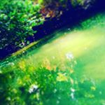 Profile Picture of Lea Fuchs (@fuchs_3020) on Instagram