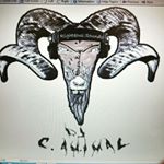 Profile Picture of Carl Wardlaw (@1animalme) on Instagram